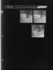 Boy With 4-H Baby Chicks (3 Negatives) (February 21, 1964) [Sleeve 72, Folder b, Box 32]